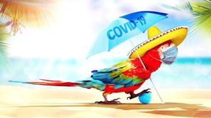 Počitnice, dopust, bolezen, prehlad, virus, viroza