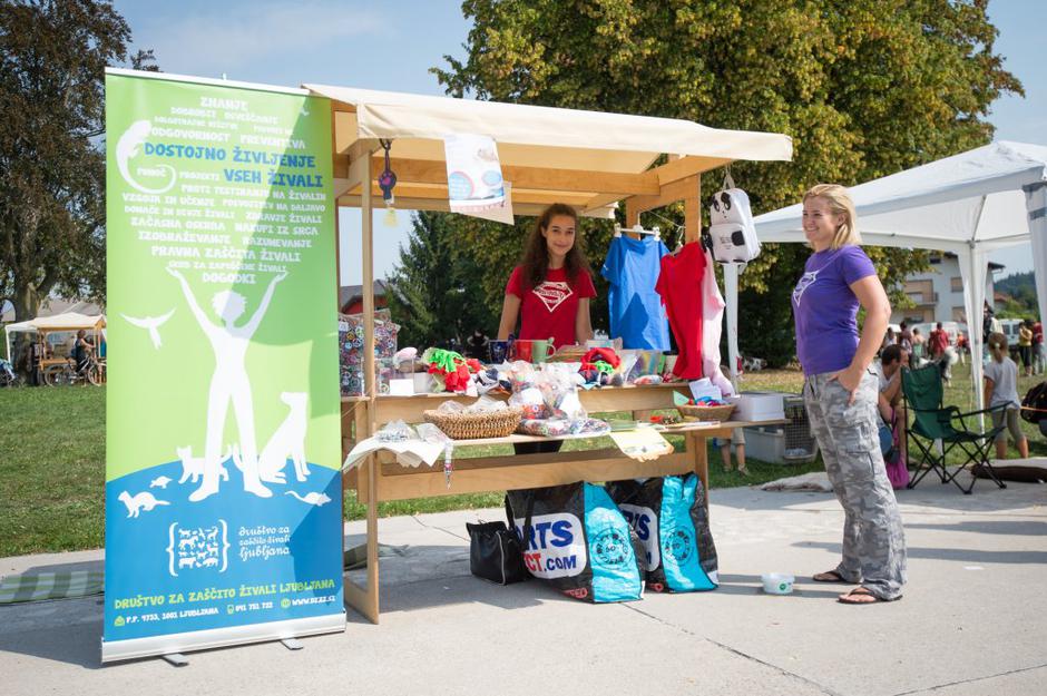 sejem 2016 | Avtor: Anže Petkovšek