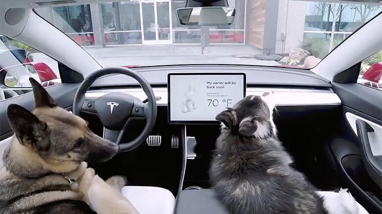 Tesla dog mode