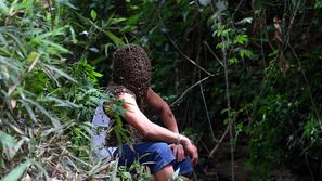 Nhat z divjimi čebelami