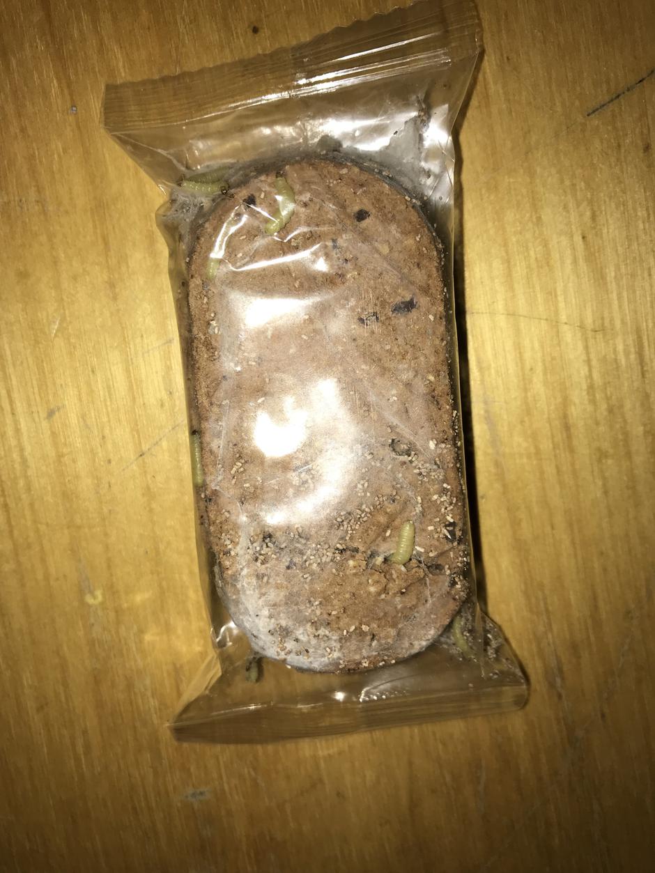 Piškoti, črv | Avtor: Bralec portala Index.hr