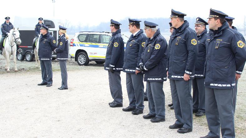 Prevzem konj na PU Ljubljana 