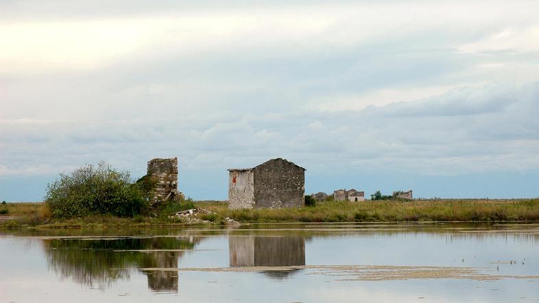 Več desetletij slabo vzdrževani nasipi ob kanalih in morju na solinah povzročajo