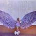 Wings for All 