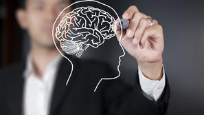 Zivljenje 03.03.14, mozgani foto: shutterstock