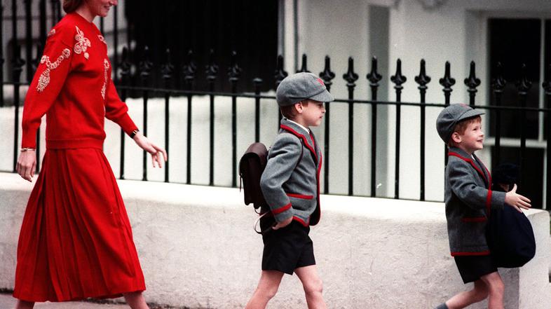 princesa Diana, princ harry, princ william