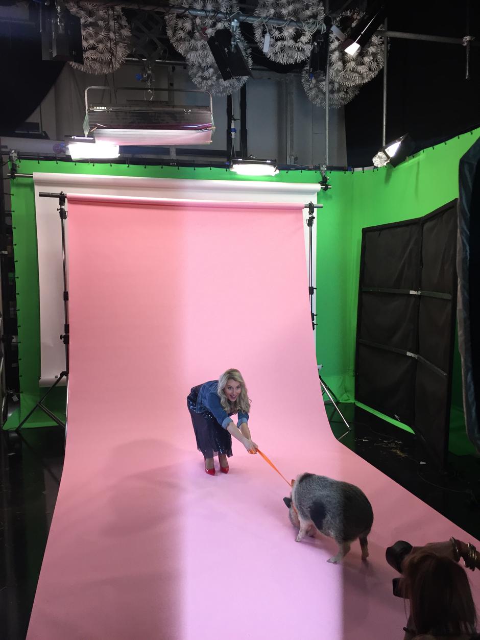 tanja postružnik koren | Avtor: Mankica Kranjec