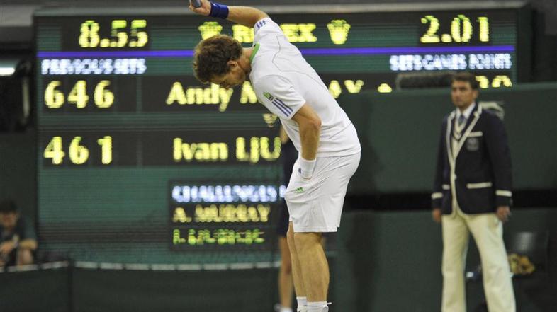 andy murray, wimbledon