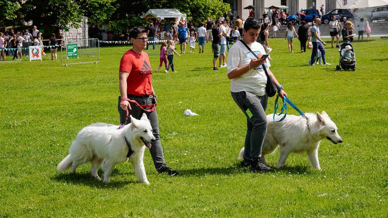 festival za ljubitelje živali