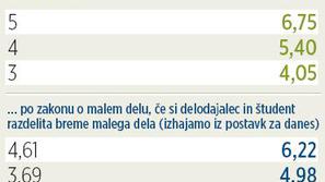 (Foto: Študentski servis Študent)