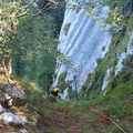 iskalna akcija