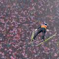 innsbruck skoki novol. turneja schlierenzauer
