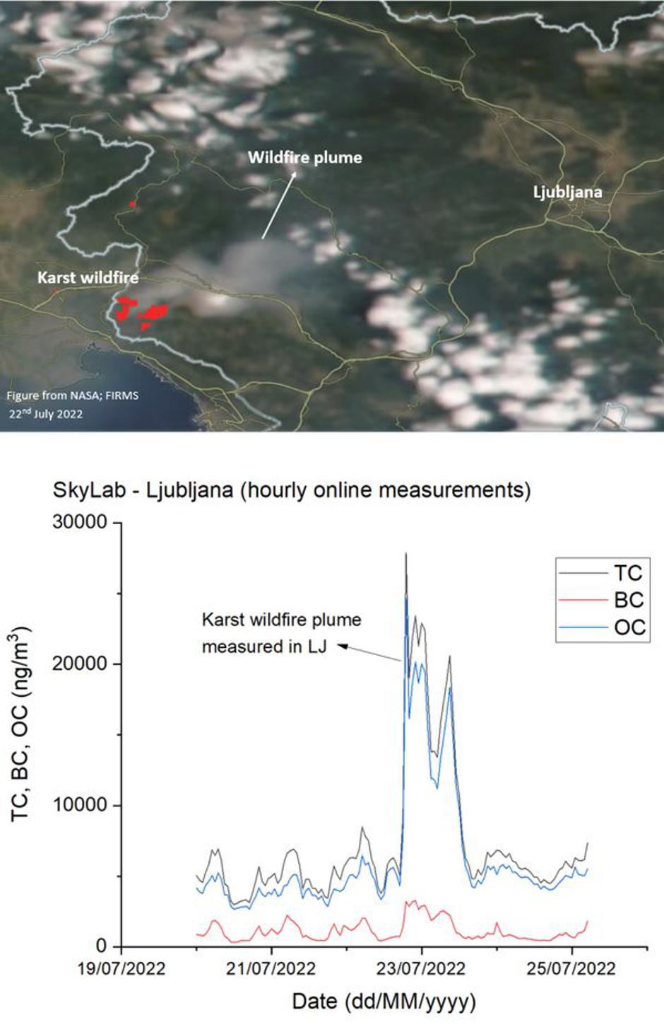 Martin Rigler | Avtor: Andreja Cilenšek