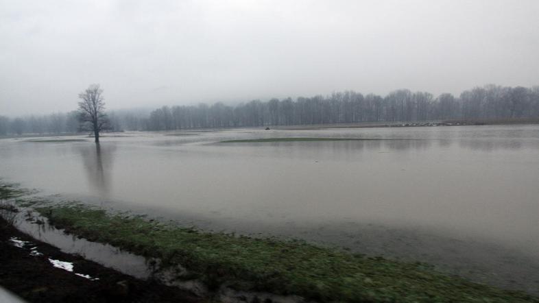 Sava je včeraj popoldne poplavljala tudi na območju Litije. (Foto: Benjamin Kova