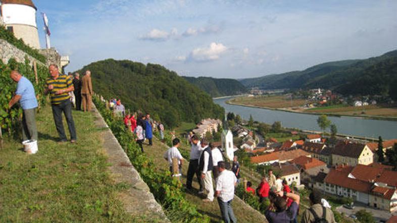 Trgači so se razporedili po grajskem pobočju in uživali v dobri družbi in lepem 