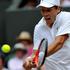 finale Wimbledon 2010 Rafael Nadal Toma%C5%A1 Berdych