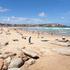 Sydney bondi beach