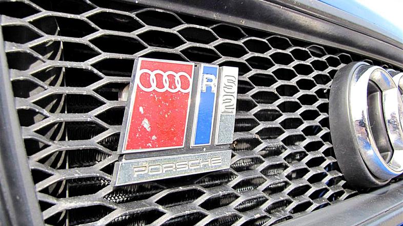 Zbor audijev v Trebnjem