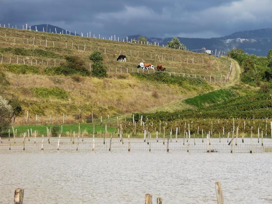 Padavine in poplave | Avtor: ERVIN ČURLIČ / regijski štab CZ za severno Primorsko