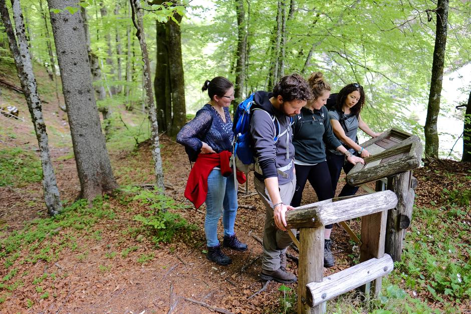 Triglavski narodni park | Avtor: arhiv: JZ TNP