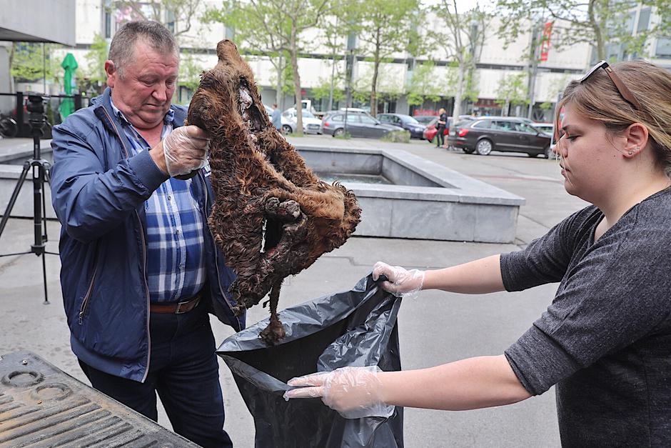 protest Sindikat kmetov Slovenije | Avtor: Saša Despot