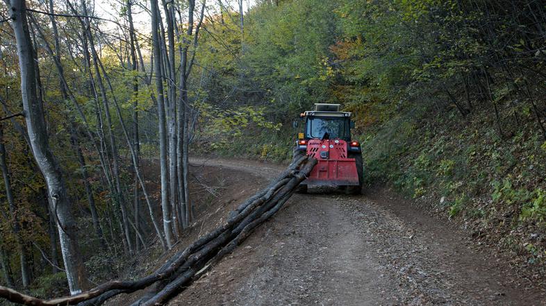 Traktor v gozdu