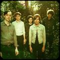 The Horrors