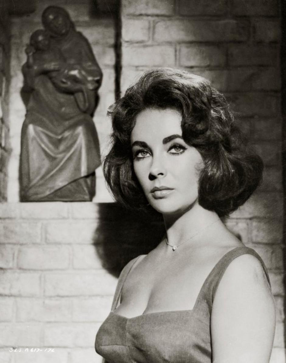 Elizabeth Taylor | Avtor: Profimedias