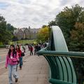 Univerza Cornell