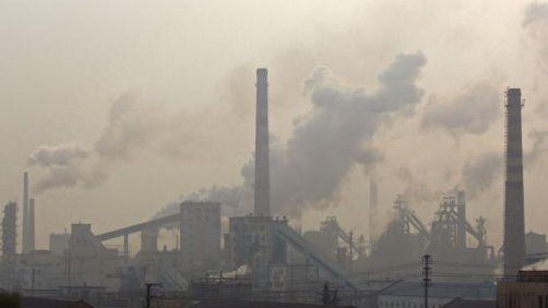 Okoljevarstveniki v Baliju pozivajo državnike k takojšnjemu ukrepanju v boju pro