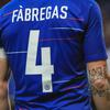 Cesc Fabregas