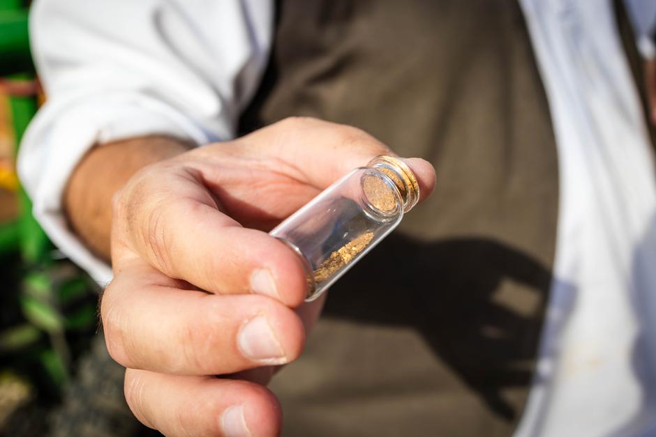 Zlata Drava | Avtor: Saša Despot