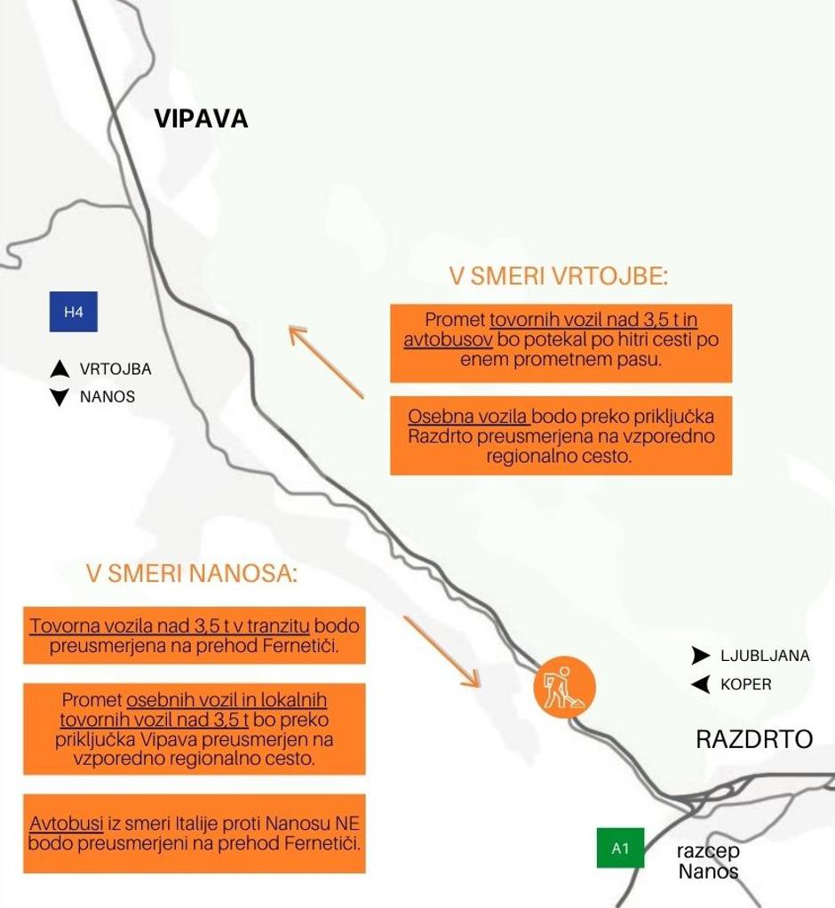 Rebernice | Avtor: Dars