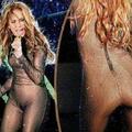 Seksi mačka ali bleščeča klobasa? (Foto: bild.de)
