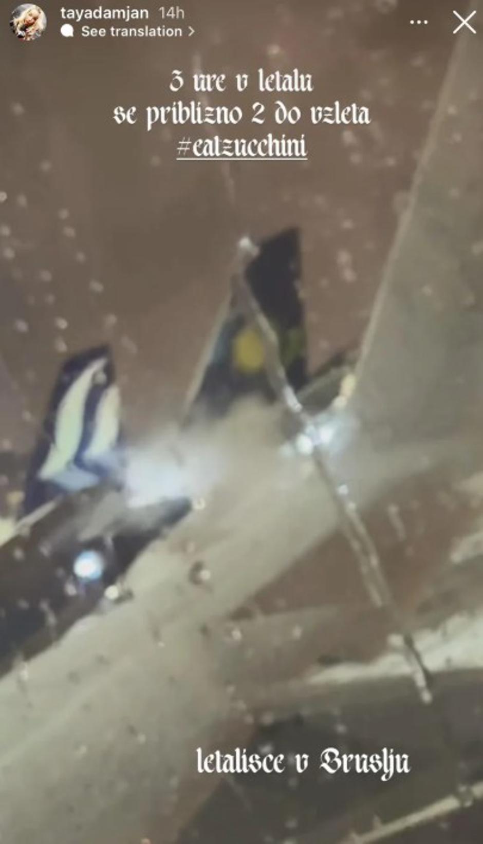 Taya Damjan | Avtor: Žurnal24 