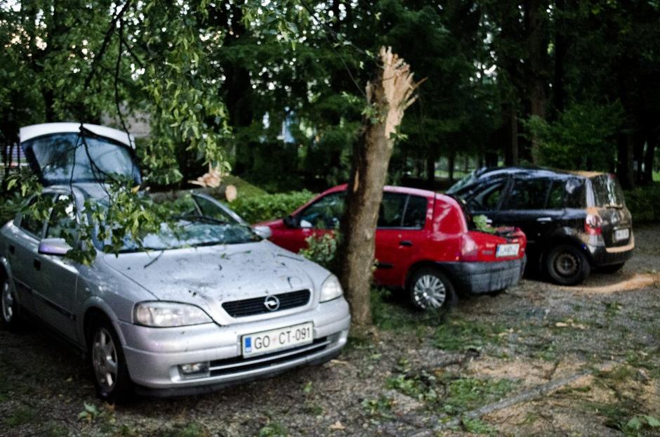 Neurje, Dolenjske Toplice | Avtor: B & B