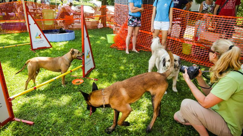 Festival za živali