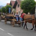 Šenčur je poznan po Prazniku krompirja, ki ga maja prireja TD Šenčur. (Foto: Pol