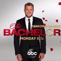 Colton Underwood