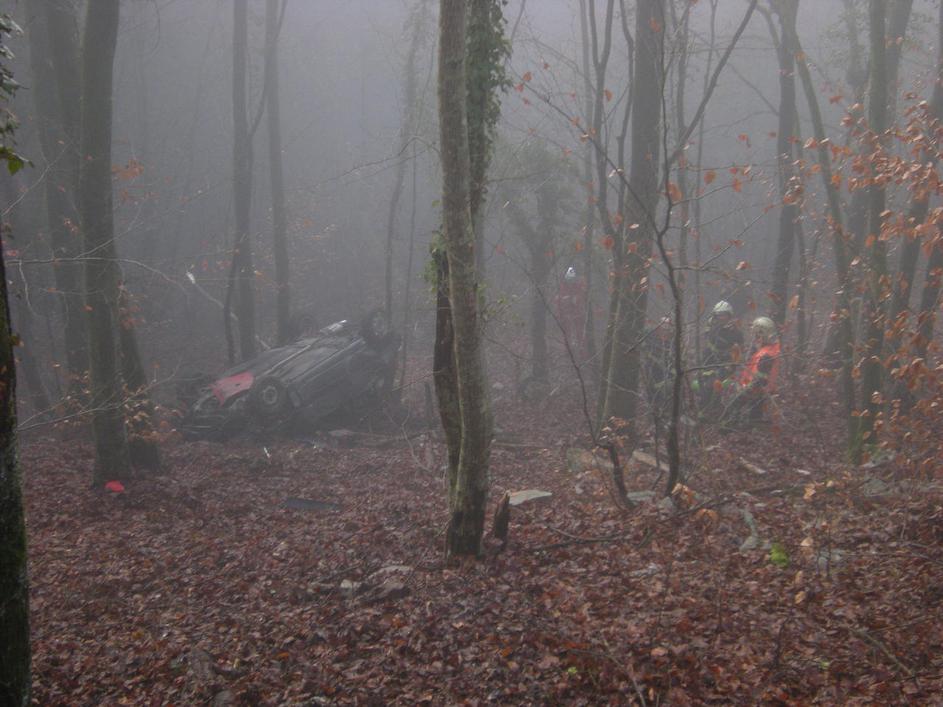 prometna nesreča, gozd, avto zletel s ceste