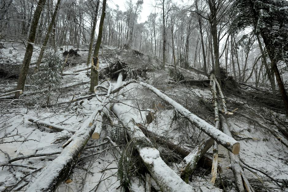 slovenija 04.02.14, sneg, led, zled, snegolom, lom dreves, nevarno vozisce zarad | Avtor: Anže Petkovšek