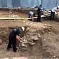Arheološke raziskave na Gosposvetski cesti