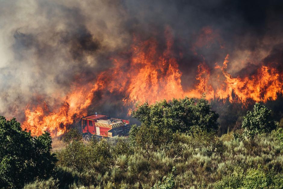 Požar | Avtor: Profimedia