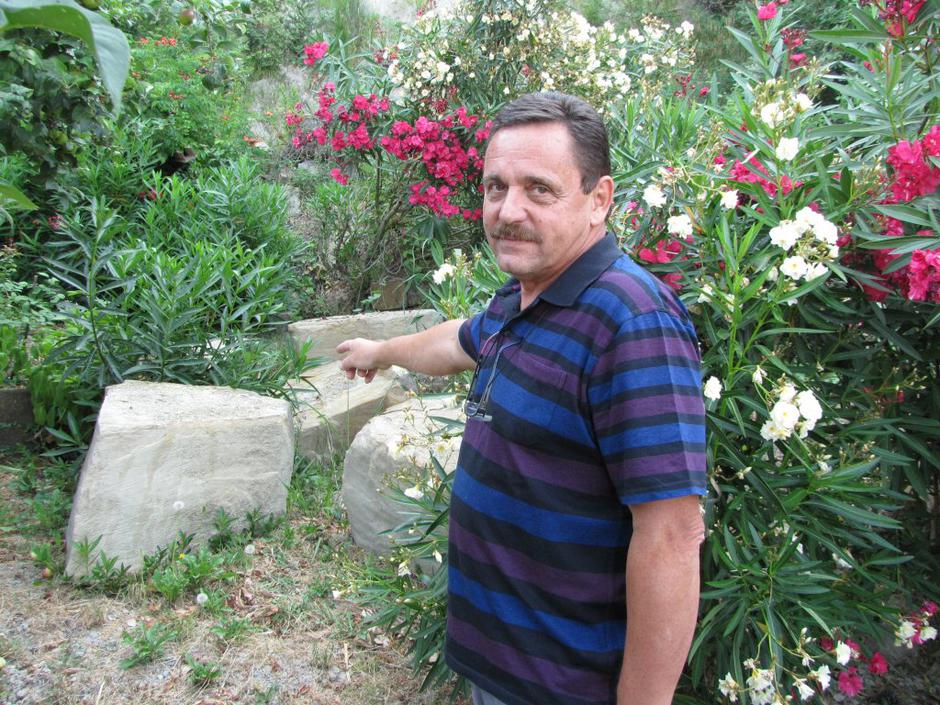 Skala v Piranu | Avtor: Suzana Kos