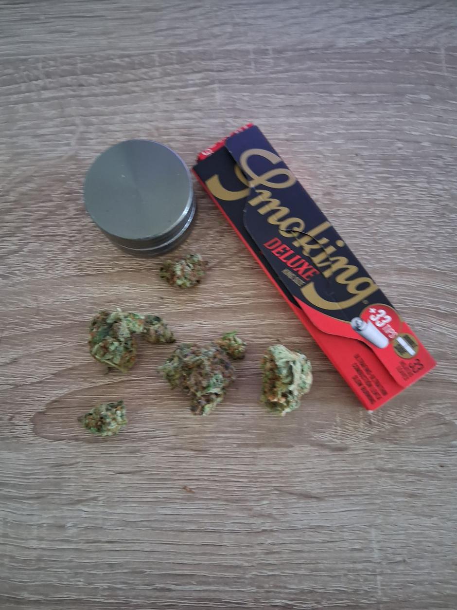 konoplja marihuana osebna raba | Avtor: Žurnal24 