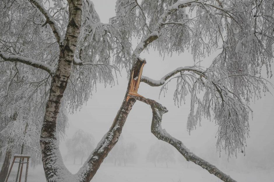 sneg | Avtor: Saša Despot