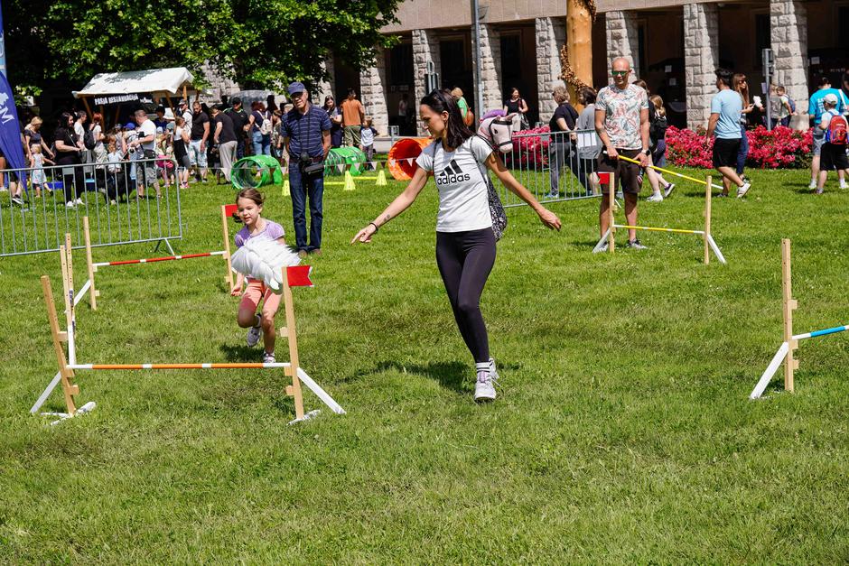 festival za ljubitelje živali | Avtor: Matija Janezic
