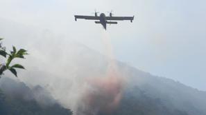 Požar na Sveti gori