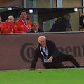 vicente del bosque