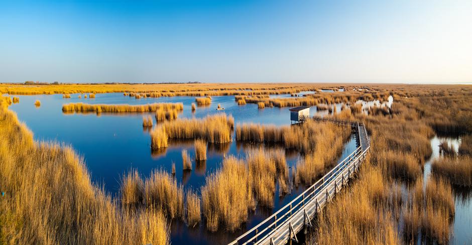 Nationalpark Neusiedler See Seewinkel | Avtor: Österreich Werbung, Julius-Silver